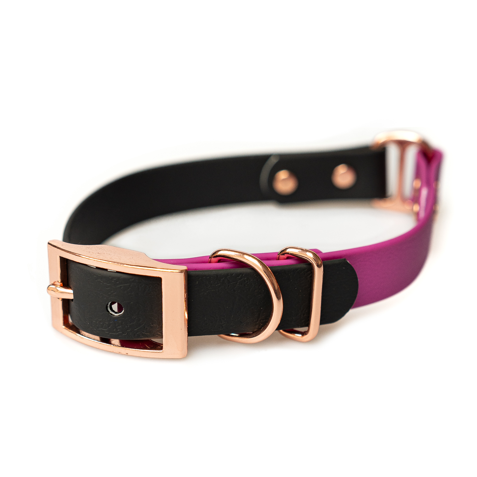 Obojek a vodítko pro psy Purple Black