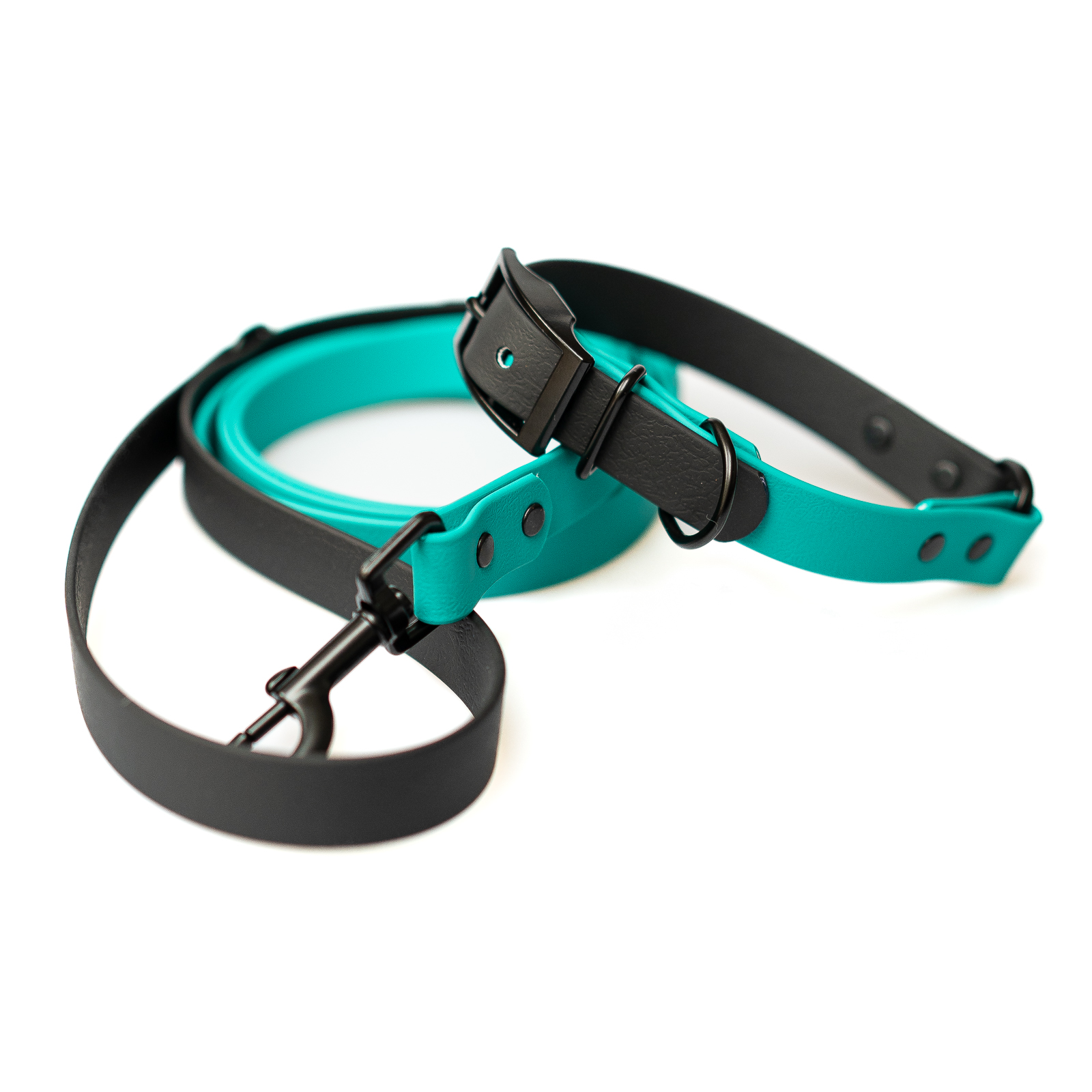 Obojek pro psy Mint Black