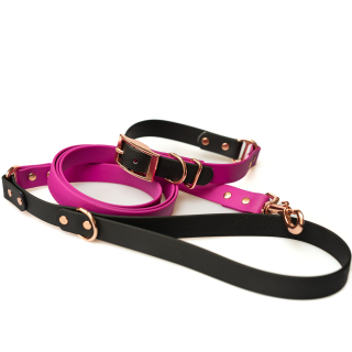 Obojek a vodítko pro psy Purple Black