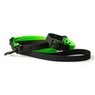 Obojek a vodítko pro psy Green Black